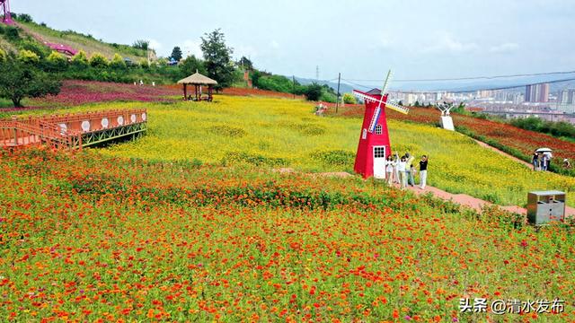 【青山绿水 只此清水】初秋这么美 还不来清水——北山生态景区邀您共赏绚烂时光