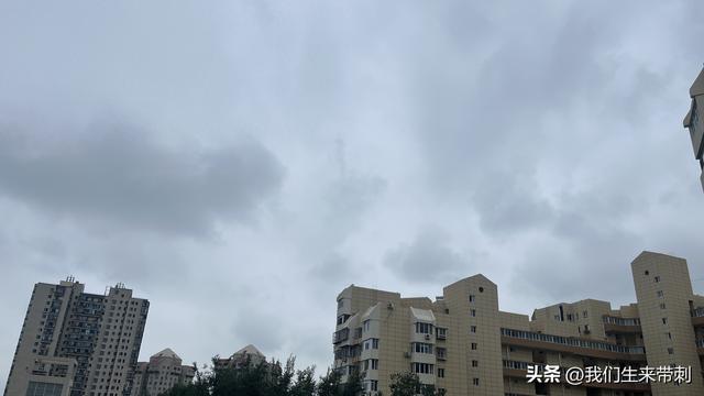 儿子，你那儿下雨了吗？