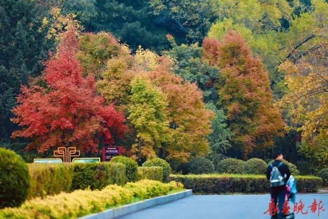 跟着央视镜头，一起去看长春秋日盛景
