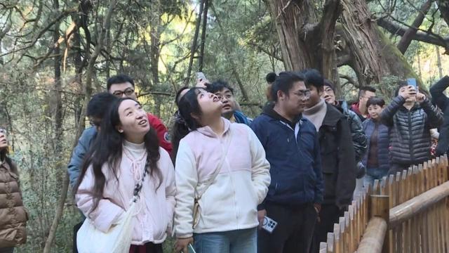 2025年四川省网络作家"行走三国·笔绘新篇"创作采风活动走进剑阁