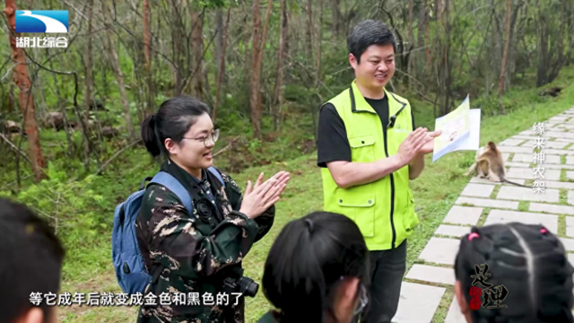 《是这个理》：缘来神农架