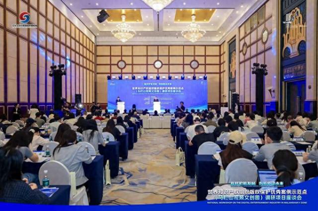 马栏山版权调研项目座谈会在长沙举办
