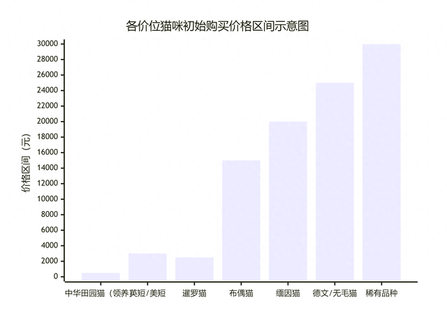 英国短毛猫价格多少钱一只？（不同价位猫猫排行榜）