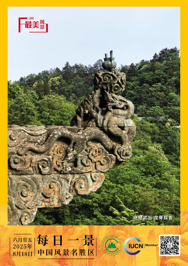 每日一景 | 绝壁武当 龙脊探香