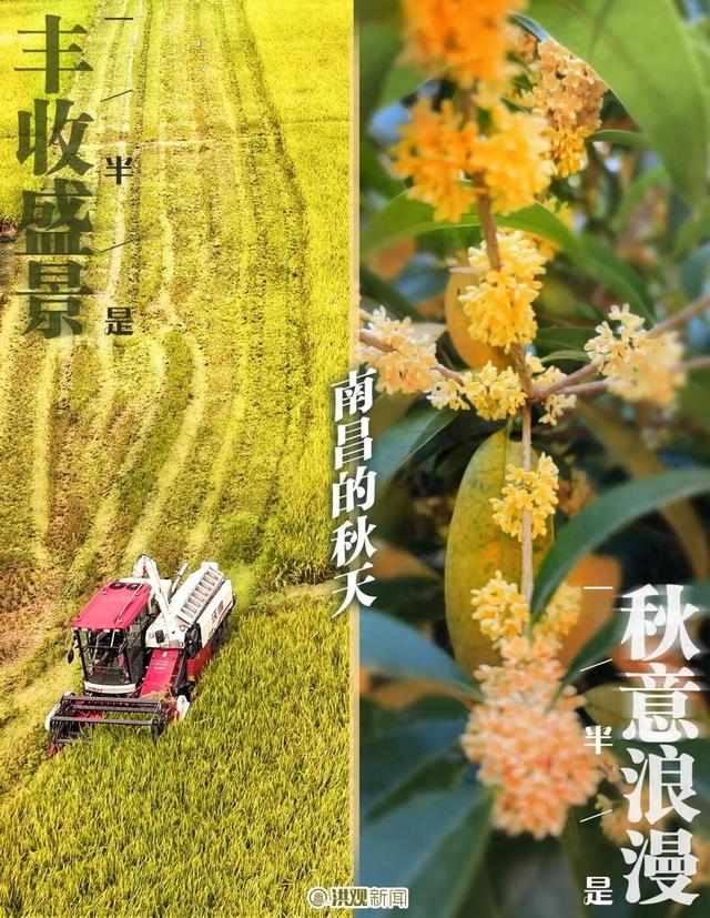 今日秋分，南昌“一半一半”的美好与圆满