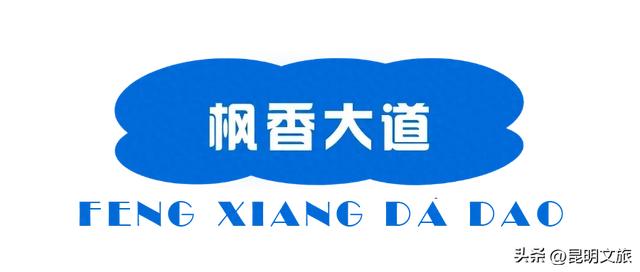 初冬氛围感出片计划,走起!昆明这份打卡攻略速速收藏→