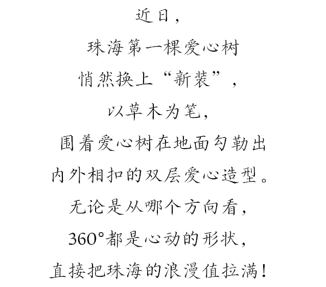 上新！珠海“顶流爱心树”浪漫升级，出片率100%！