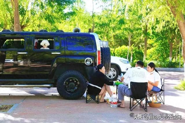 嘉峪关南湖文化生态园免费停车场收获如潮好评