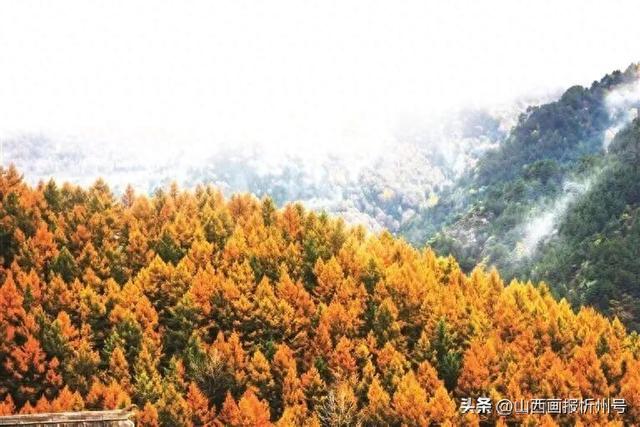 五台山：净土涵万物 奇境育生机
