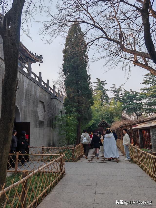 洛阳的美越来越精致