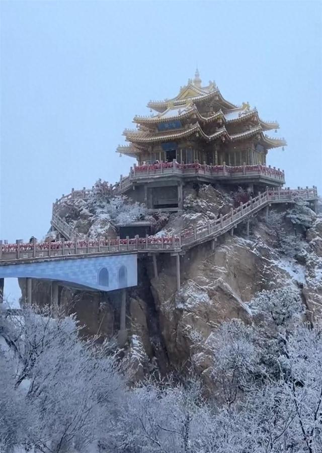 老君山降雪周末门票已售罄，金顶亮灯暂停一天，地陪：雪不大，能看到漂亮的雾凇