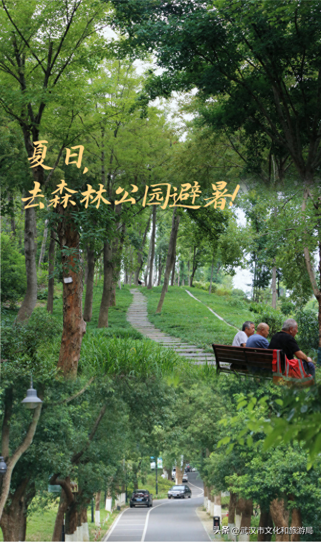 热热热！夏日避暑纳凉路线来啦