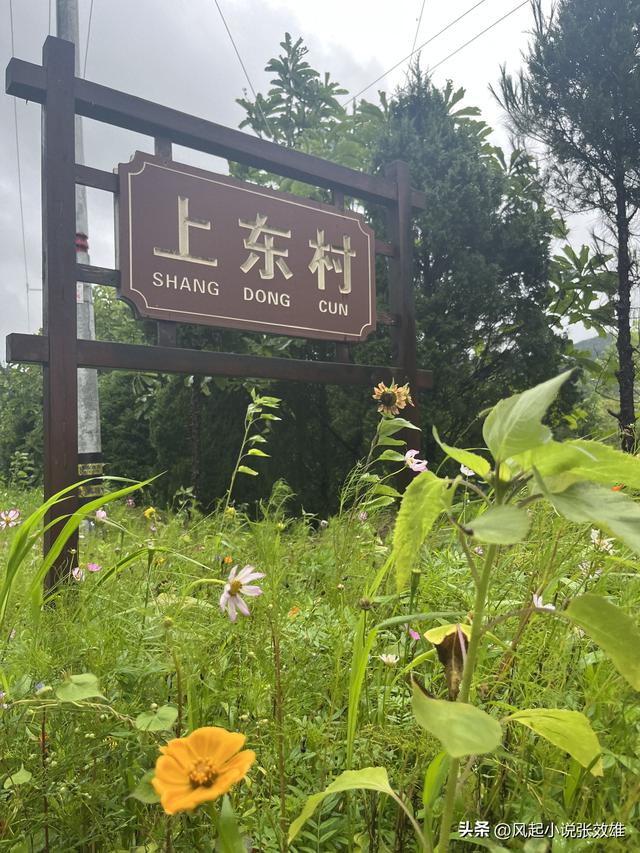 小妹张雄文的文章 遥望星空，桂东县上东村避暑散记
