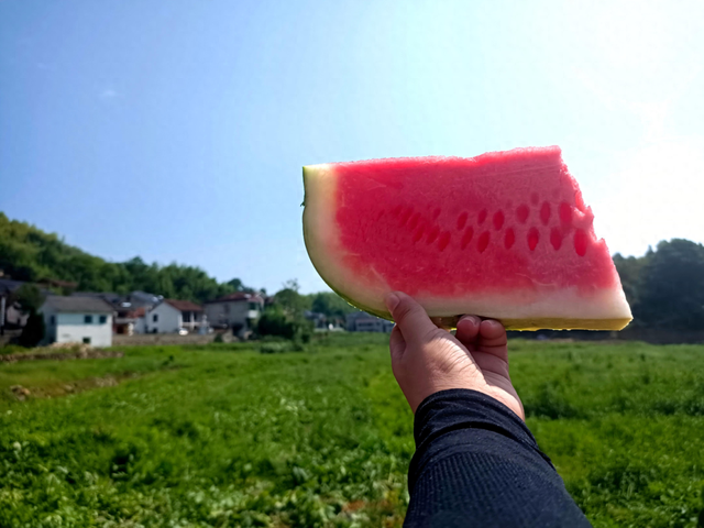 实现“西瓜自由”！临安这趟清凉之旅，上车！