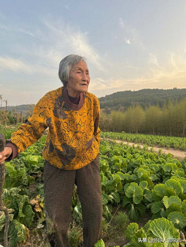 八十岁勇闯互联网，用东北菜治好了年轻人的精神内耗
