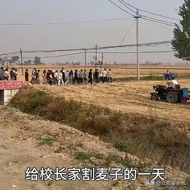河南一90后校长，为了锻炼学生，带自家割麦子，多好的校长!
