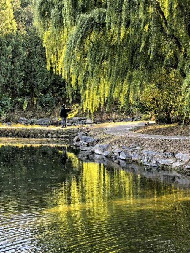 秋光曼妙！圆明园秋日胜春朝