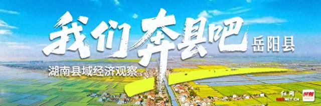 洞庭湖畔的“宝藏”藏不住了，打卡点全搜罗！丨我们奔县吧·岳阳县篇