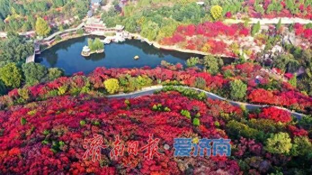 红叶谷第25届红叶节10月1日启幕