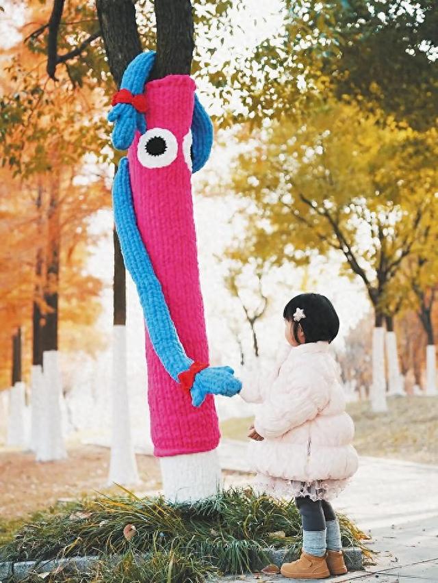 红杉树穿“毛衣”