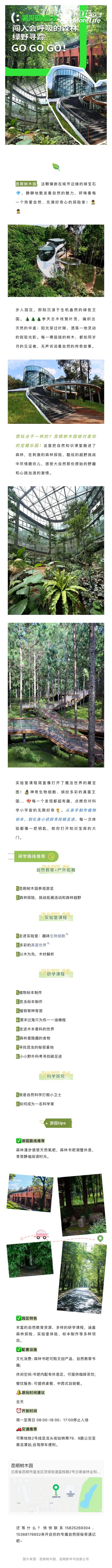 暑期趣盘龙丨闯入会呼吸的森林 绿野寻踪 GO GO GO！