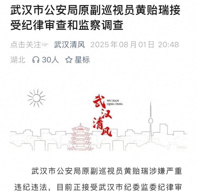 武汉警界退休老干部突然被查，二十年平安账变一朝黑幕单