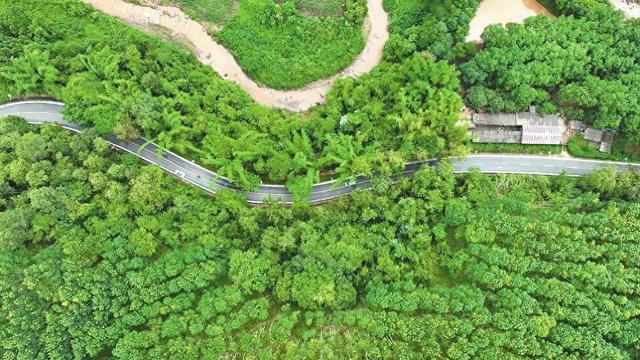 西盟县打造绿美公路：路景交融 文旅升级