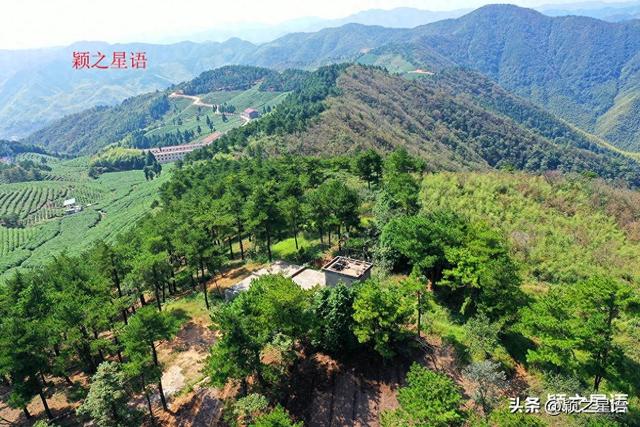 宁波最年轻的村庄，岗上风云