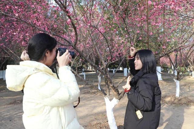 大武汉一日 | 被萌化了！东湖绿道的树，换上“新皮肤”