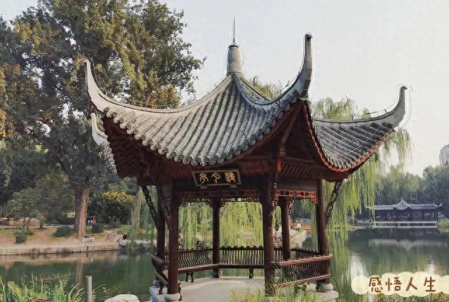 你身体里的宇宙法则：吃进去的、必须吐出来！