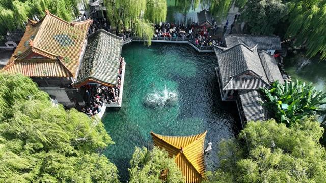 泉城独坐 | 我在济南刚刚好