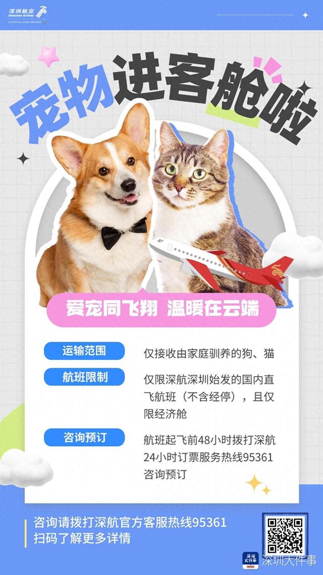 dnf飞行宠物（旅客可携带宠物进客舱深航推出新服务）