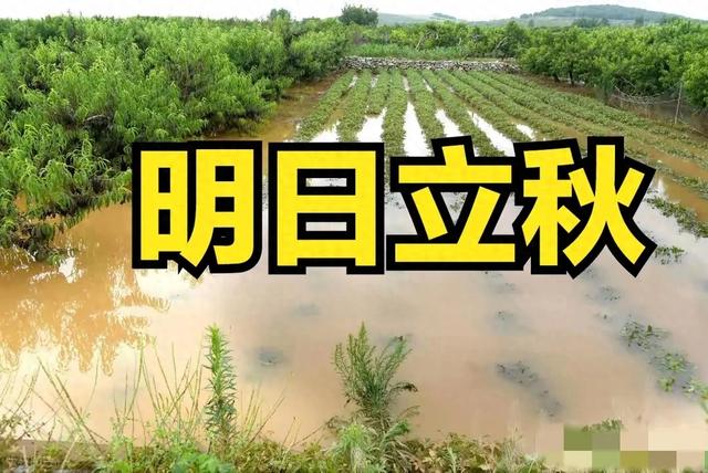 明日立秋，老人说：“最怕立秋一日雨”，立秋雨天好还是晴天好？