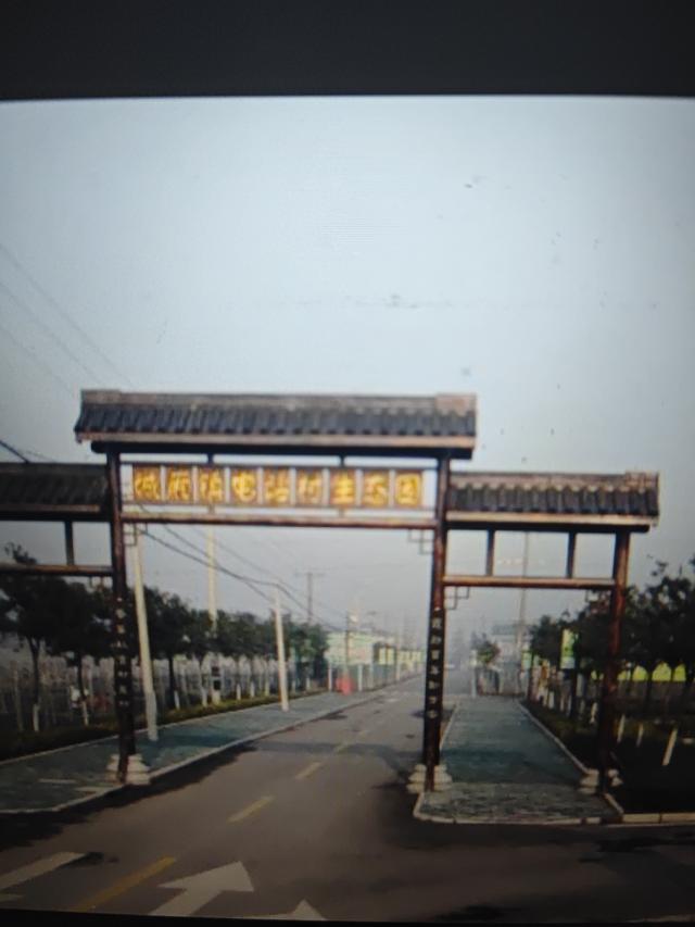 逃离乐园11攻略（十一逃离上海1h闪达太仓这3个冷门宝藏地）
