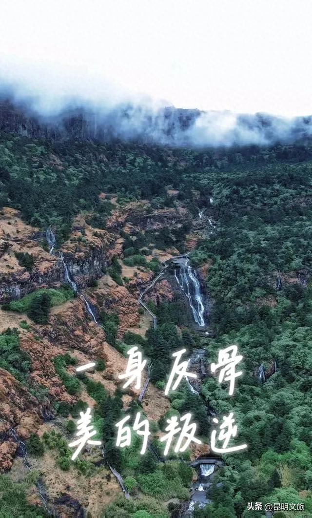 “一身反骨”！别家的山冬天静悄悄，昆明的山却“冻”出了高山瀑布群