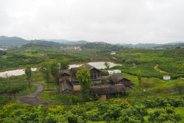 活力中国调研行｜南充文旅新花样：“丝”滑出圈，“湾”住游客心！