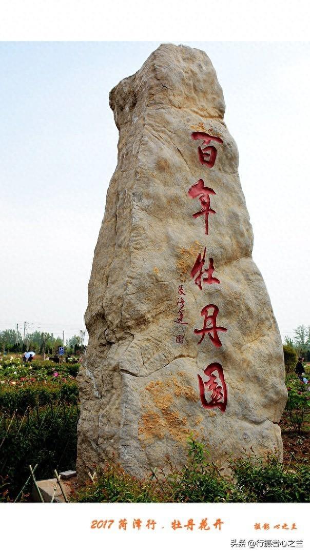 山东行游影记（69）—菏泽赏牡丹（一）
