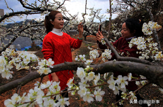 四堡元宵节：漫山“下大雪”