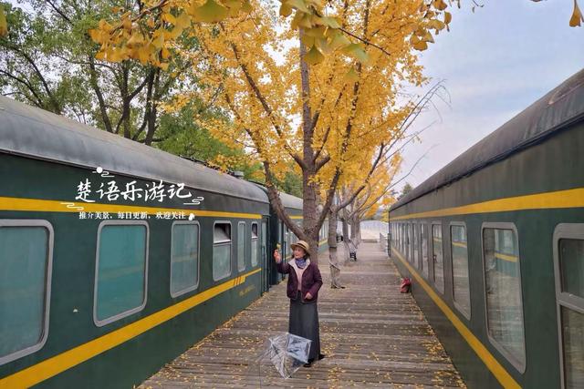 浙江宁波的水景公园，不仅是露营的好去处，还是银杏乌桕观赏胜地