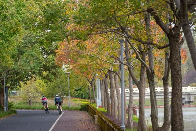 一大波美图袭来！长宁赏秋秘境藏不住啦～