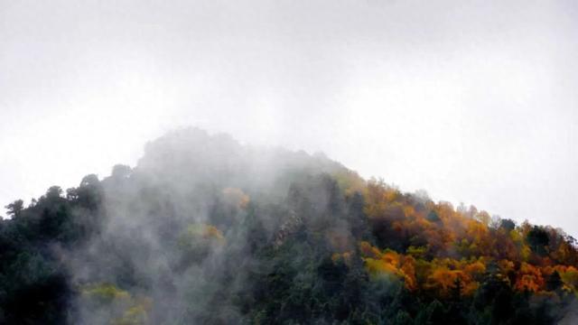 秋天的第一次旅行，就来武威吧~