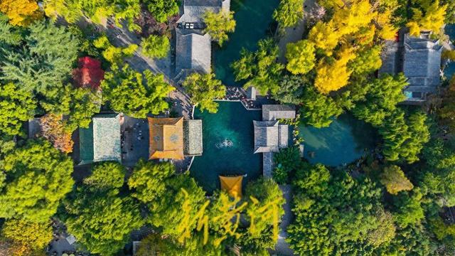 趵突泉公园开启变色模式，层林浸染触摸诗情画意