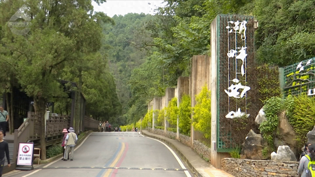 是什么让昆明人每天6点半就出门？答案不是上班，是爬西山！