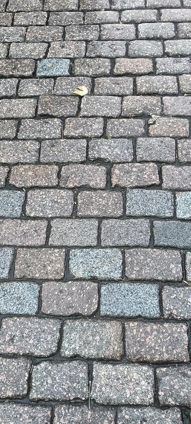 雪天逛中央大街：从原味冰棍到灯火夜景，百年老街藏着尔滨的温柔