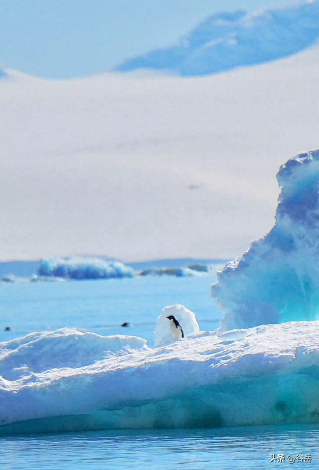 去南极要办签证吗？答错可能去不成！