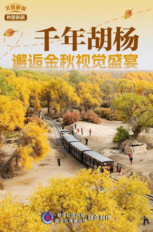 文旅新探·秋游新疆｜千年胡杨：邂逅金秋视觉盛宴