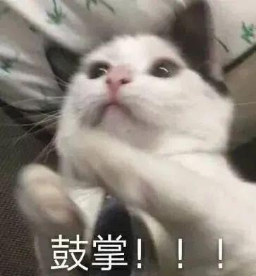 2025年度美丽公路，广东+3！