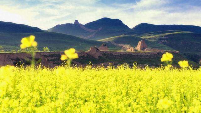 这座塞北小城，藏着长城脚下最美的秋日盛景，邀你共赴浪漫之约~