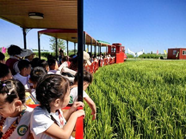 北大荒集团齐齐哈尔农场：农文旅融合之路越走越宽