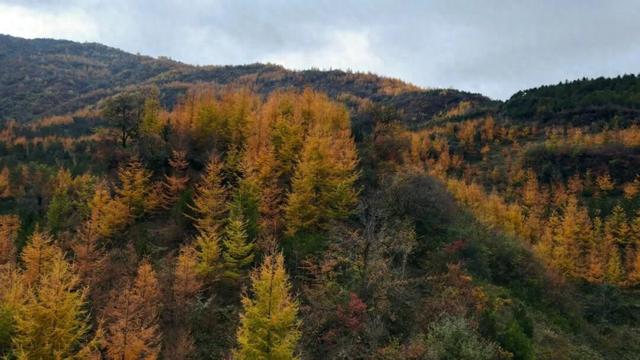 范坝秋光里：诗画田园入梦来